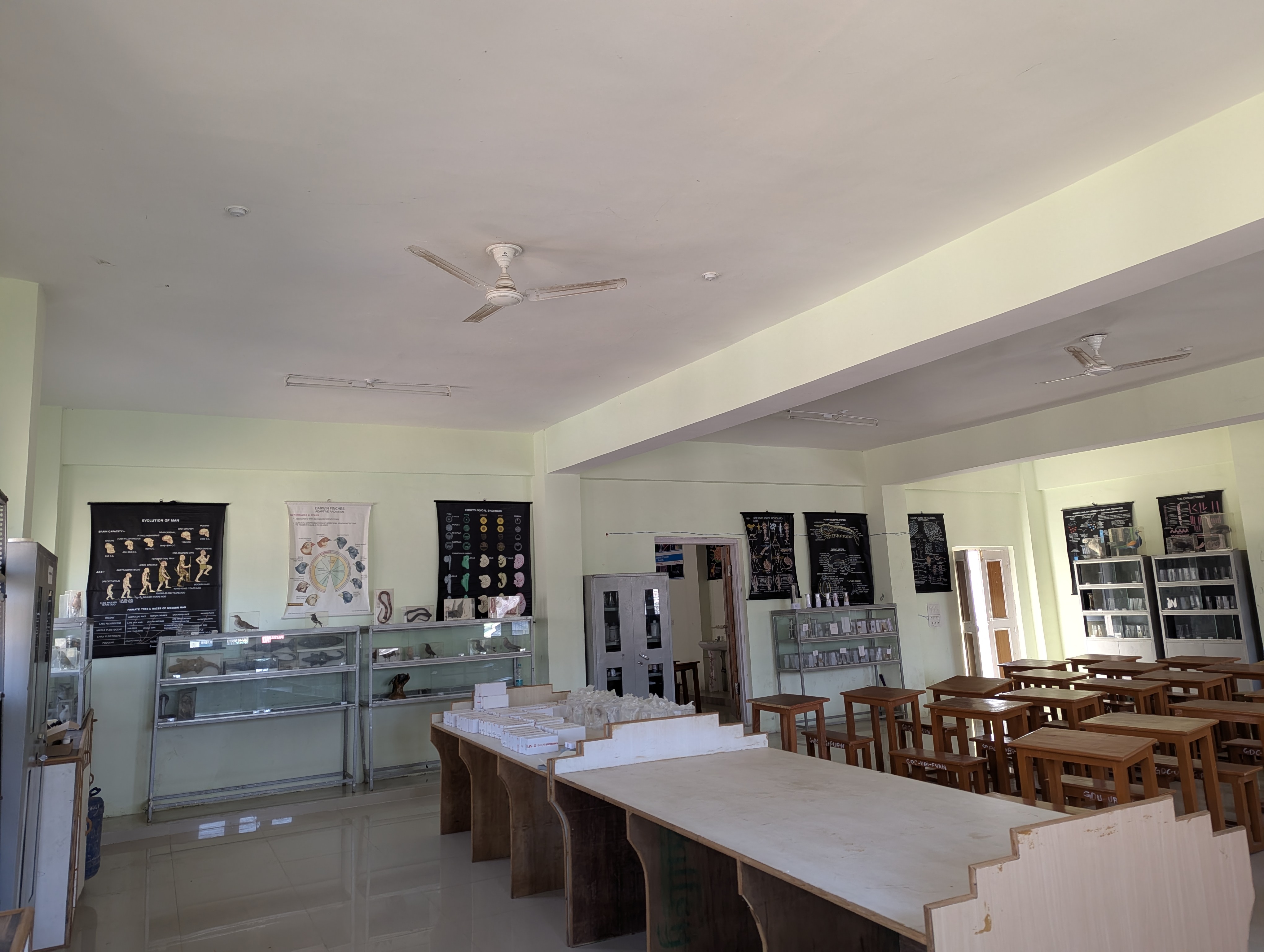 Botany Lab Specimens